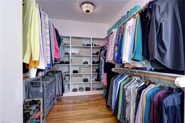 117 Shinnecock, Williamsburg, VA 23188 - spacious closet with wood finished floors