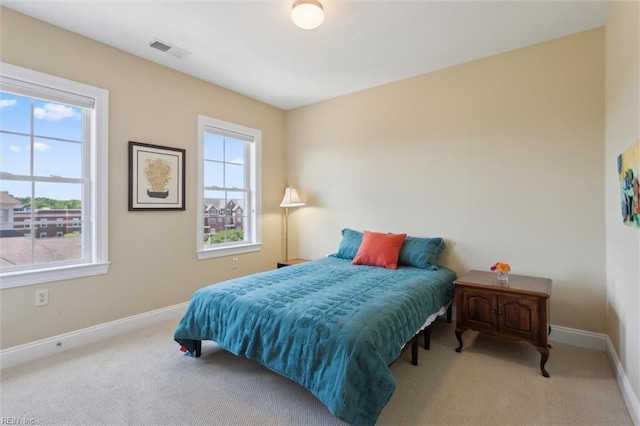 5414 Foundation St, Williamsburg, VA 23188 - bedroom featuring multiple windows, carpet flooring, and baseboards