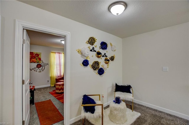 101 Utah St, Portsmouth, VA 23701 - sitting room with carpet flooring, baseboards, and a textured ceiling