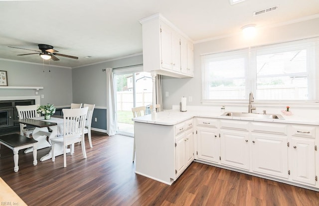 1 Lake Walk Xing, Hampton, VA 23666 - kitchen featuring a sink, ornamental molding, dark wood-style flooring, ceiling fan, and white cabinets