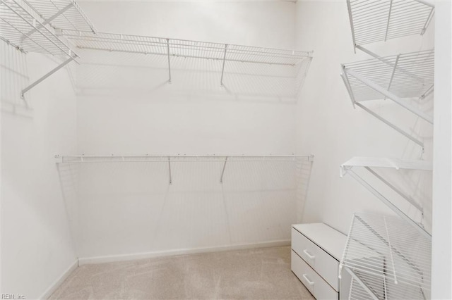145 Shoal Crk, Williamsburg, VA 23188 - spacious closet featuring light colored carpet