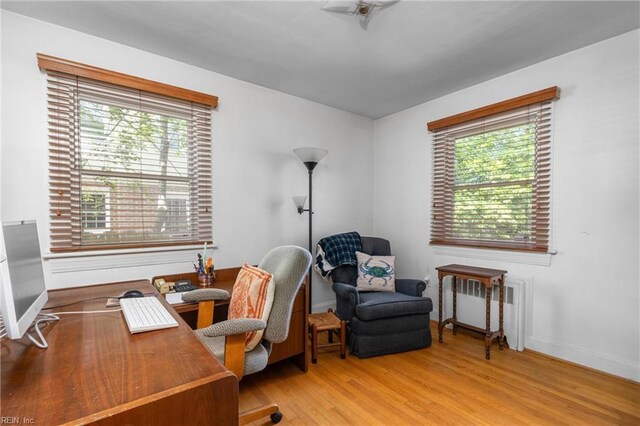 6052 Newport Cres, Norfolk, VA 23505 - office space featuring wood finished floors, plenty of natural light, radiator heating unit, and baseboards
