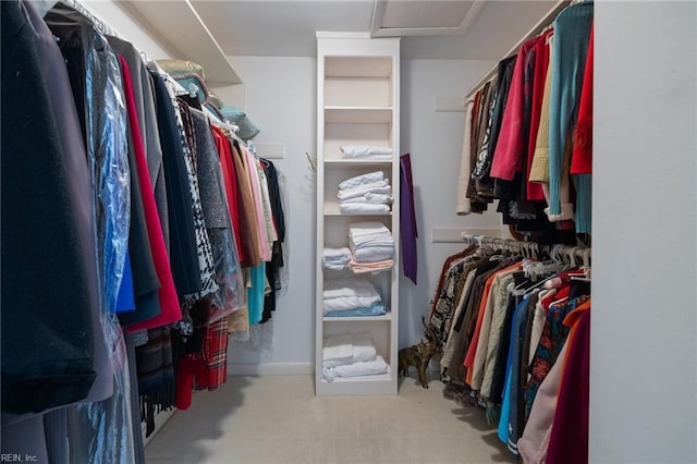 4401 Leatherwood Dr, Virginia Beach, VA 23462 - spacious closet with attic access and carpet floors