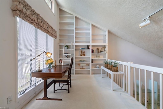 4401 Leatherwood Dr, Virginia Beach, VA 23462 - carpeted home office with a textured ceiling and high vaulted ceiling