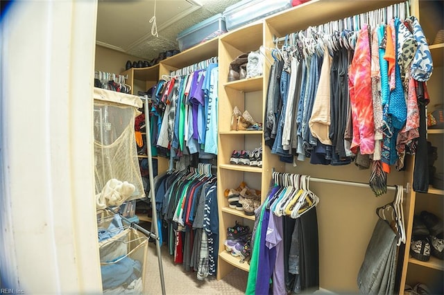 1660 Chestwood Dr, Virginia Beach, VA 23453 - spacious closet featuring attic access and carpet floors