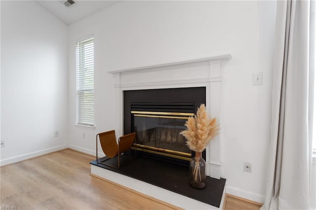 3200 Jade Ct Unit 301, Virginia Beach, VA 23451 - detailed view of wood finished floors, baseboards, and a glass covered fireplace