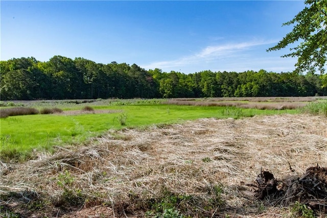 505 Plantation Rd, North, VA 23128 - view of woods featuring a view of rural / pastoral area