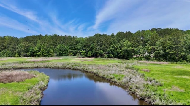 505 Plantation Rd, North, VA 23128 - water view featuring a forest