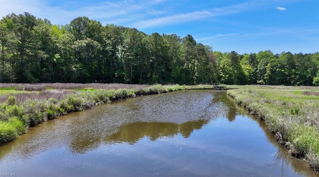 505 Plantation Rd, North, VA 23128 - water view featuring a heavily wooded area