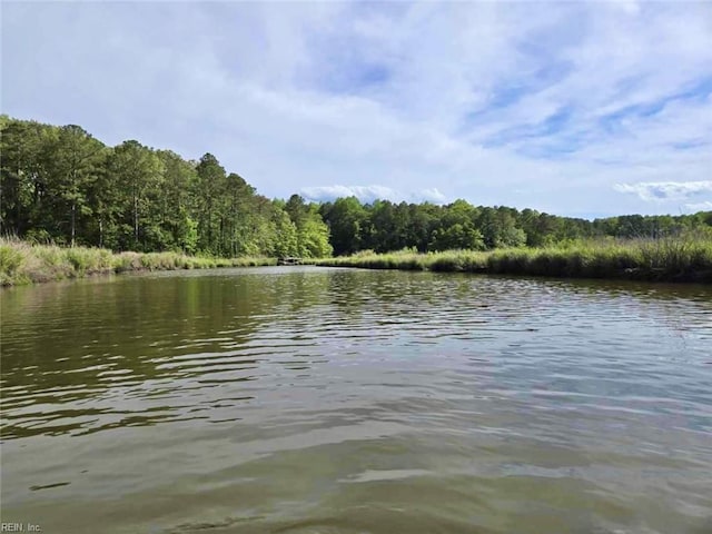 505 Plantation Rd, North, VA 23128 - water view featuring a heavily wooded area