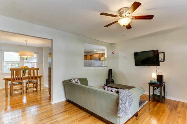 7811 Michael Dr, Norfolk, VA 23505 - living room with a ceiling fan, light wood finished floors, and baseboards