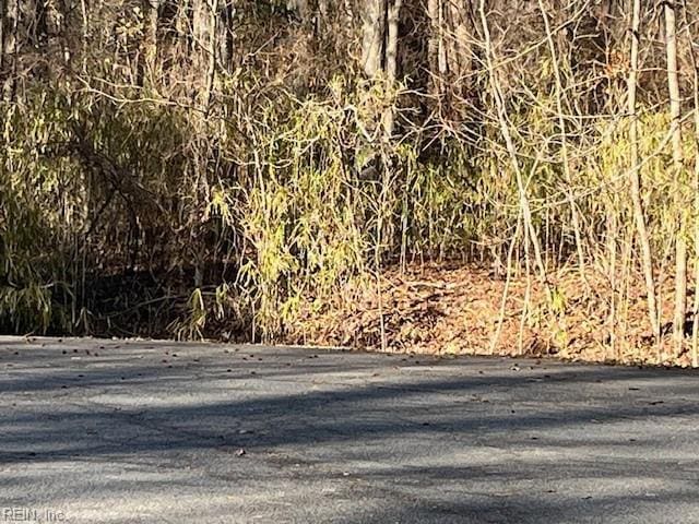 1AC Kentucky Trl, Chesapeake, VA 23323