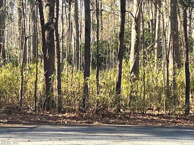 1AC Kentucky Trl, Chesapeake, VA 23323