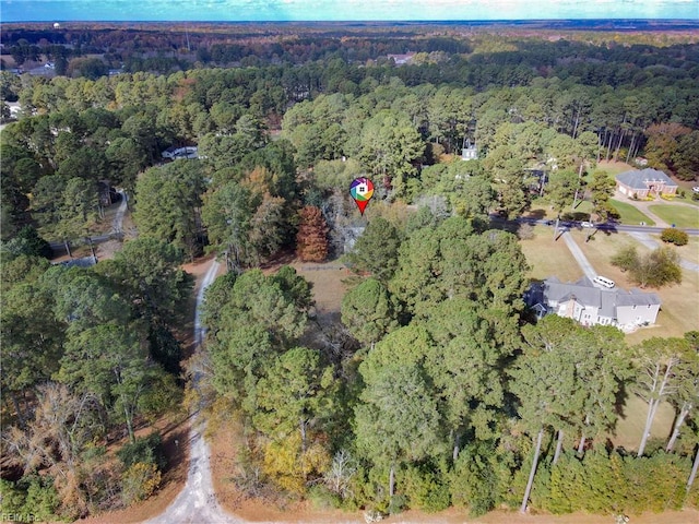221 Homestead Rd, Franklin, VA 23851 - aerial view of property's location with a forest