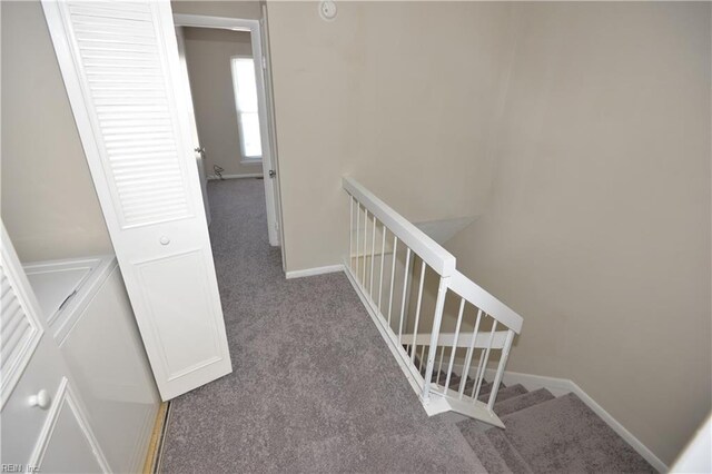 3861 Chancery Ln, Virginia Beach, VA 23452 - hallway with carpet, an upstairs landing, and baseboards