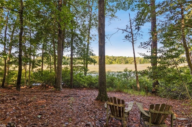 20524 Creekside Dr, Smithfield, VA 23430 - view of yard