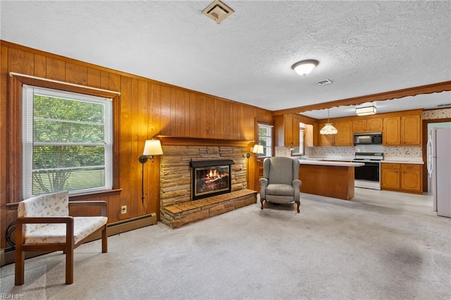 4422 Gannon Rd, Portsmouth, VA 23703 - living area featuring wooden walls, a stone fireplace, baseboard heating, light colored carpet, and a textured ceiling