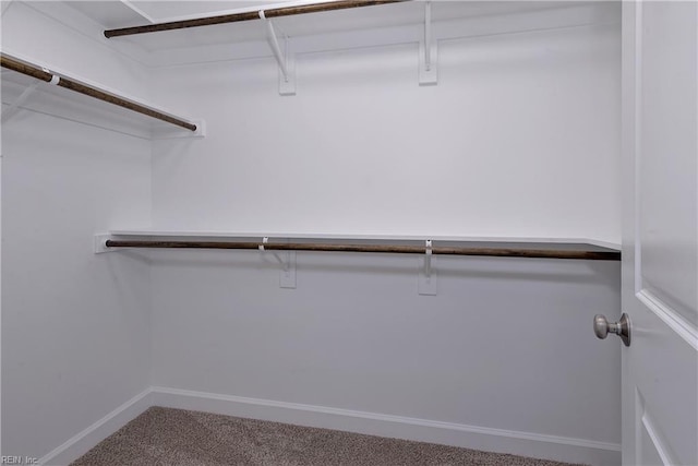 718C Poquoson Ave, Poquoson, VA 23662 - spacious closet with carpet