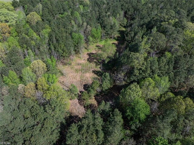 24AC Brewers Neck Rd, Carrollton, VA 23314
