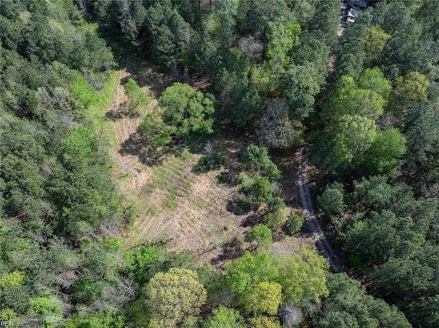 24AC Brewers Neck Rd, Carrollton, VA 23314