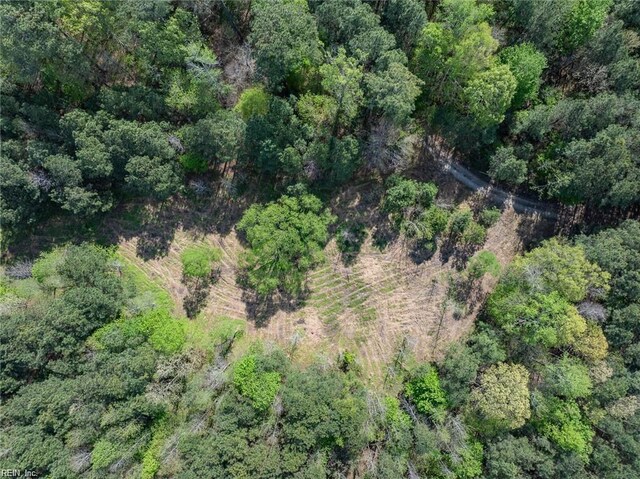 24AC Brewers Neck Rd, Carrollton, VA 23314
