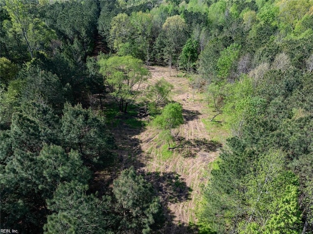 24AC Brewers Neck Rd, Carrollton, VA 23314