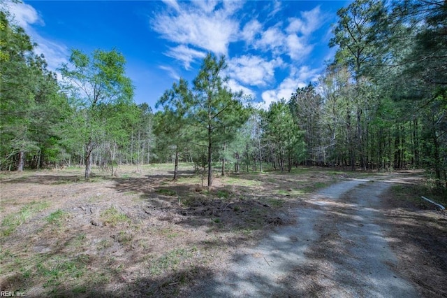 24AC Brewers Neck Rd, Carrollton, VA 23314
