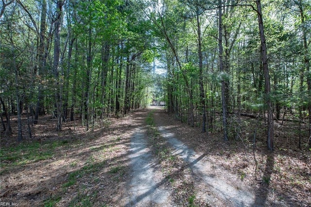 24AC Brewers Neck Rd, Carrollton, VA 23314