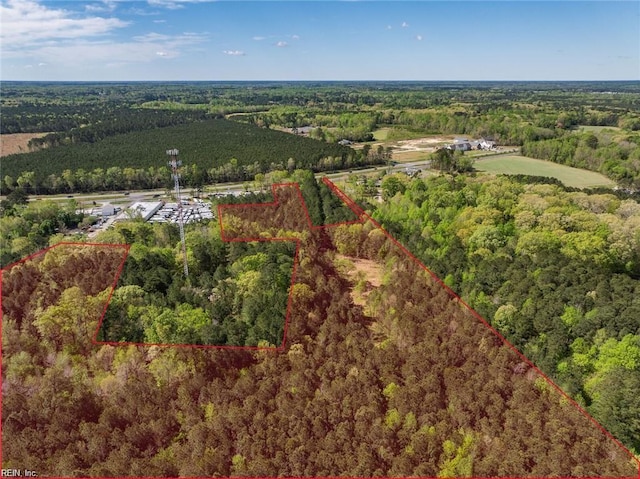 24AC Brewers Neck Rd, Carrollton, VA 23314