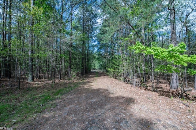 24AC Brewers Neck Rd, Carrollton, VA 23314