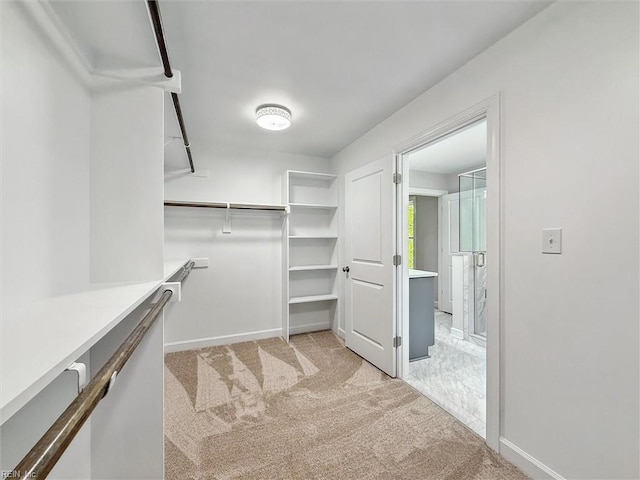 206 Loon Ct, Newport News, VA 23606 - walk in closet with light colored carpet
