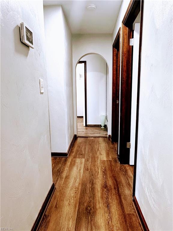 1013 River Birch Ct, Chesapeake, VA 23320 - corridor featuring arched walkways, wood finished floors, and baseboards