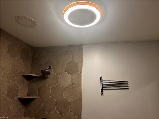 1013 River Birch Ct, Chesapeake, VA 23320 - detailed view of a tile shower