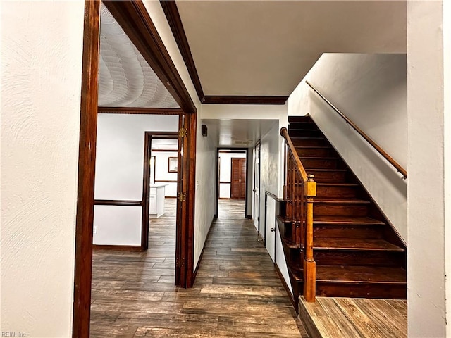 1013 River Birch Ct, Chesapeake, VA 23320 - stairway featuring hardwood / wood-style floors, ornamental molding, and baseboards