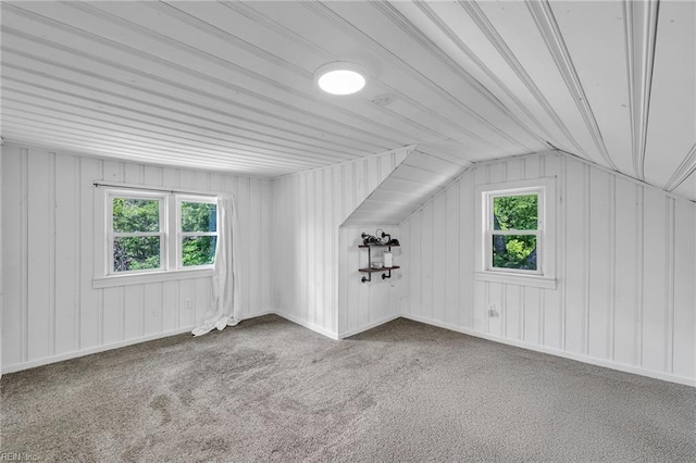 1424 Stewart St, Chesapeake, VA 23324 - bonus room featuring plenty of natural light, lofted ceiling, and carpet floors