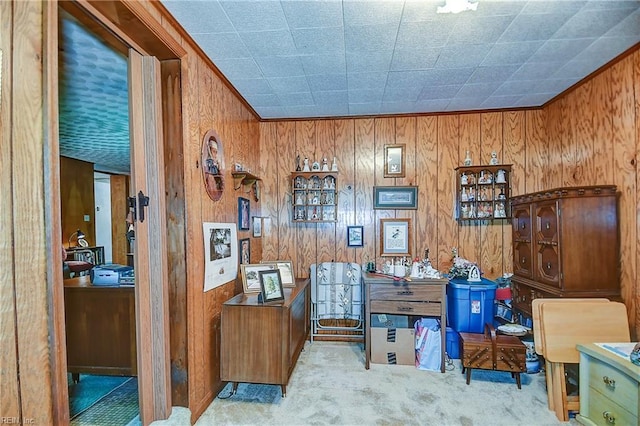 409 Briarfield Dr, Chesapeake, VA 23322 - office featuring carpet and wooden walls