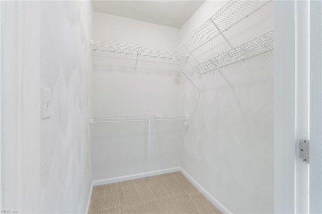 2819 Rose Garden Way, Virginia Beach, VA 23456 - spacious closet featuring carpet flooring