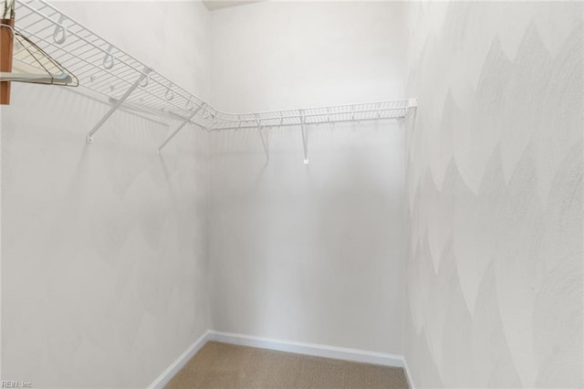 2819 Rose Garden Way, Virginia Beach, VA 23456 - walk in closet featuring carpet