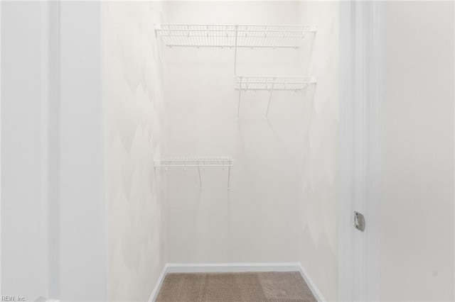 2819 Rose Garden Way, Virginia Beach, VA 23456 - spacious closet featuring carpet floors