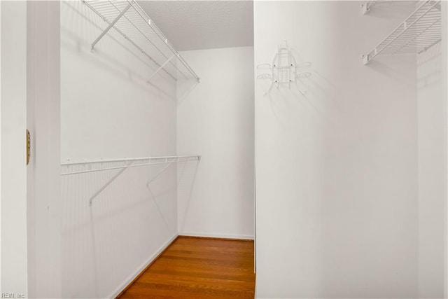 303 Settlement Dr Unit 303, Williamsburg, VA 23188 - spacious closet featuring wood finished floors