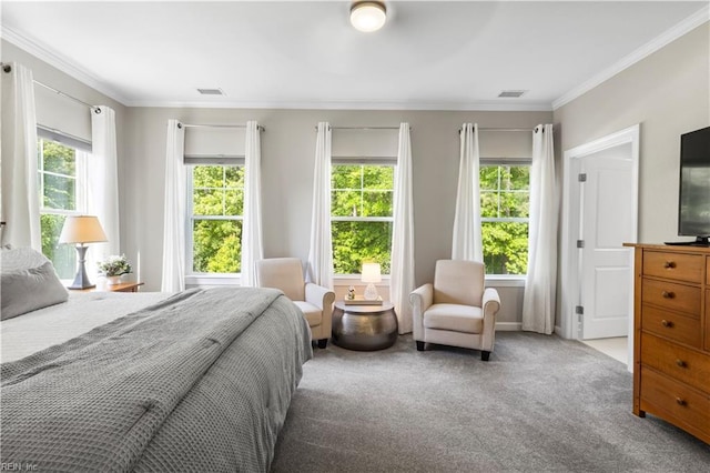 531 Middleton Way, Chesapeake, VA 23322 - carpeted bedroom featuring multiple windows and crown molding