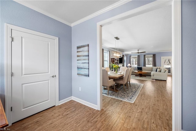 531 Middleton Way, Chesapeake, VA 23322 - dining room featuring ornamental molding, wood finished floors, and baseboards