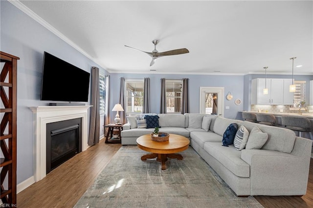531 Middleton Way, Chesapeake, VA 23322 - living area with a ceiling fan, wood finished floors, crown molding, a glass covered fireplace, and baseboards