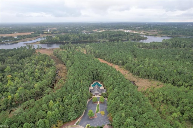 313 Preservation Reach Reach, Chesapeake, VA 23320 - aerial overview of property's location with a large body of water and a forest