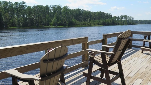 313 Preservation Reach Reach, Chesapeake, VA 23320 - dock with a water view and a forest view