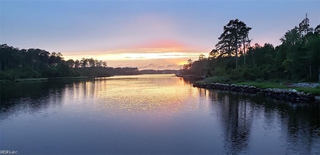313 Preservation Reach Reach, Chesapeake, VA 23320 - water view