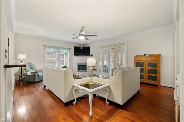 313 Preservation Reach Reach, Chesapeake, VA 23320 - living area with ceiling fan, a glass covered fireplace, wood finished floors, ornamental molding, and baseboards