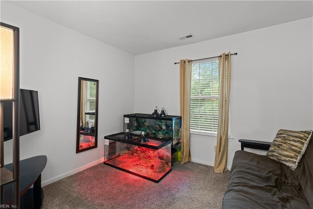 3012 Trappers Run, Chesapeake, VA 23321 - carpeted office with baseboards