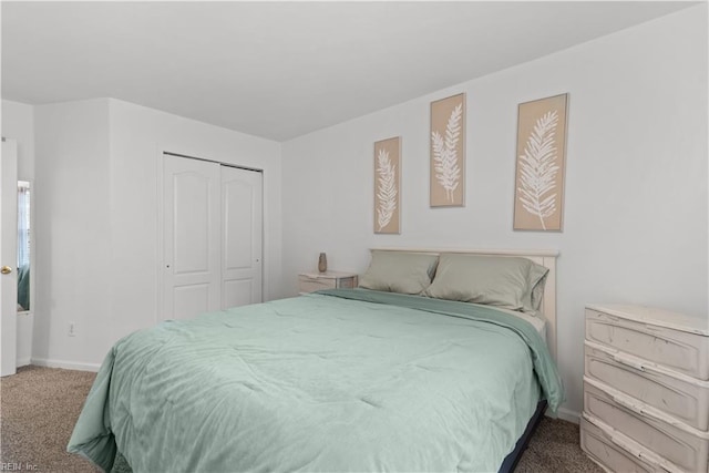 3012 Trappers Run, Chesapeake, VA 23321 - carpeted bedroom with a closet and baseboards