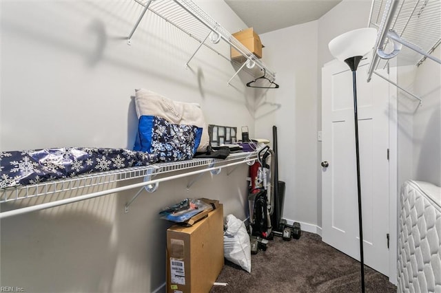 418 Fishers Ct, Hampton, VA 23666 - walk in closet with carpet